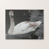 Puzzle Baby Swan schwimmen (Horizontal)