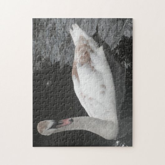 Puzzle Baby Swan schwimmen (Vertikal)