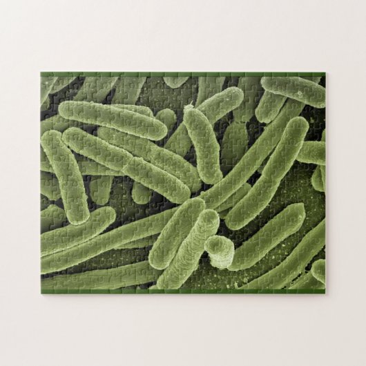 Puzzle bakterias e.coli microscopio (Horizontal)