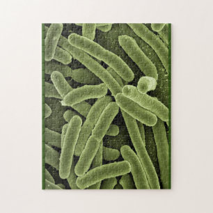 Puzzle bakterias e.coli microscopio