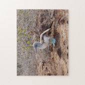 Puzzle blau-füßigen Dummkopfes Galapagos (Vertikal)