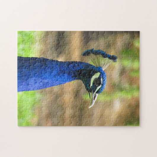 Puzzle - Blue Peacock Head (Horizontal)