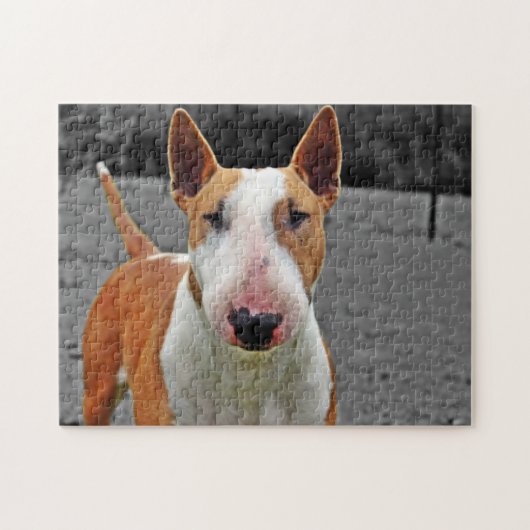 Puzzle - bull terrier-Design (Horizontal)