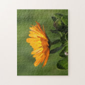 Puzzle - Calendula Blossom (Vertikal)