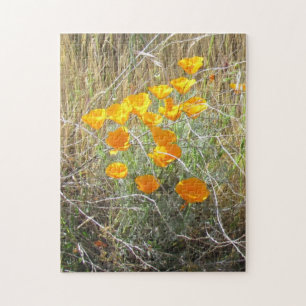Puzzle - California Poppy