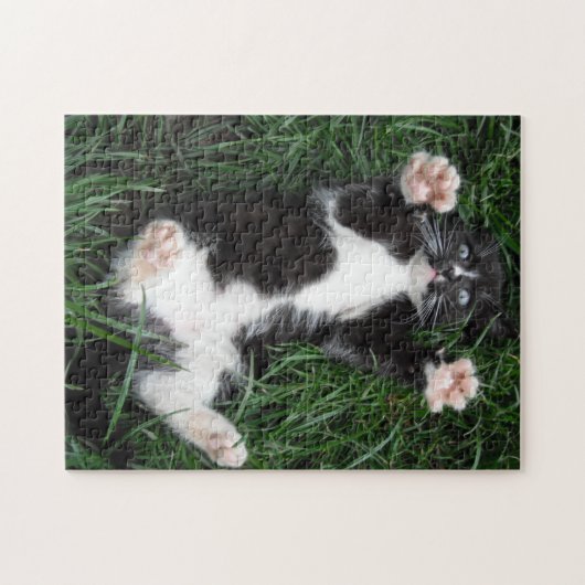 Puzzle Cat Hugs (Horizontal)