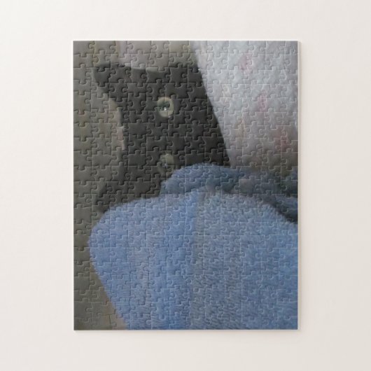 Puzzle - Closet Hideout (Vertikal)