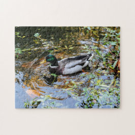 Puzzle con anatra nello stagno Duck puzzle in