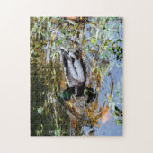 Puzzle con anatra nello stagno Duck puzzle in (Vertikal)