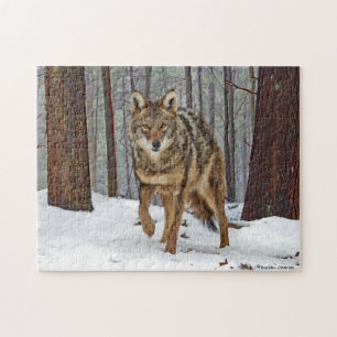 Puzzle "Coyote in the Pines"