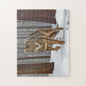 Puzzle "Coyote in the Pines" (Vertikal)