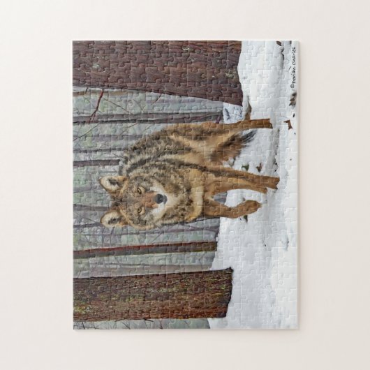 Puzzle "Coyote in the Pines" (Vertikal)