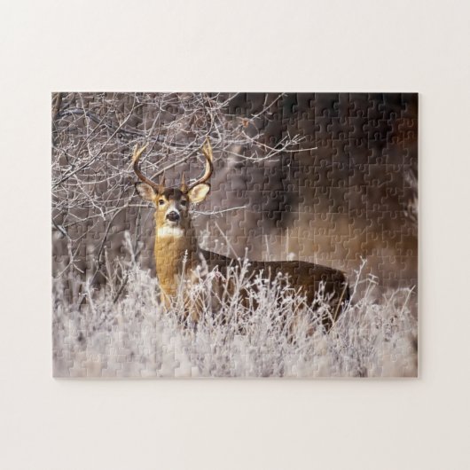 Puzzle-Deer Puzzle (Horizontal)