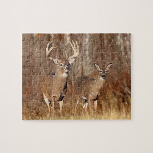 Puzzle-Deer Puzzle (Horizontal)