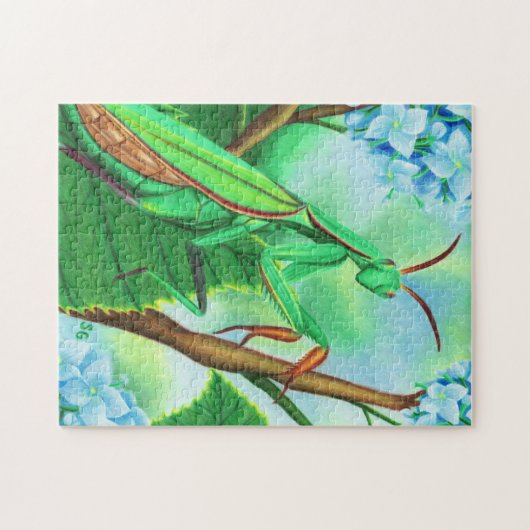 Puzzle der farbenfrohen Mantis (Horizontal)