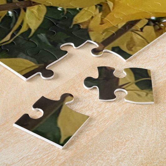 Puzzle der Herbstlöcher (Seite)