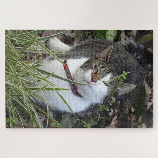Puzzle der niedlichen grauen Katze (Horizontal)