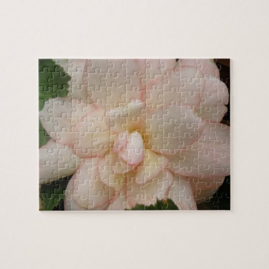 Puzzle der weißen Begonia-Blume (Horizontal)