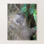 Puzzle der Wildtiere: Niedlicher Igel (Vertikal)