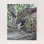 Puzzle der Wildtiere: Niedlicher Kapuzineraffe in  (Vertikal)