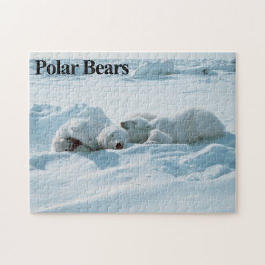 Puzzle des Eisbär-6 (Horizontal)