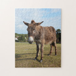 Puzzle des neuen Waldesels