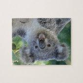 Puzzle des niedlichen Koala (Horizontal)