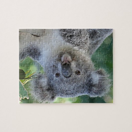 Puzzle des niedlichen Koala (Horizontal)