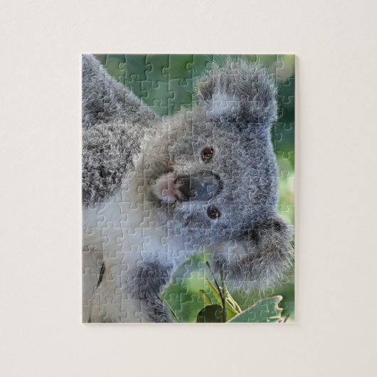 Puzzle des niedlichen Koala (Vertikal)