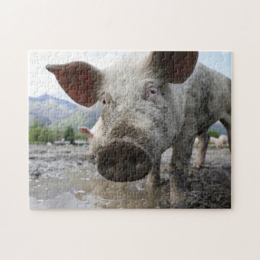 Puzzle des Schweins (Horizontal)