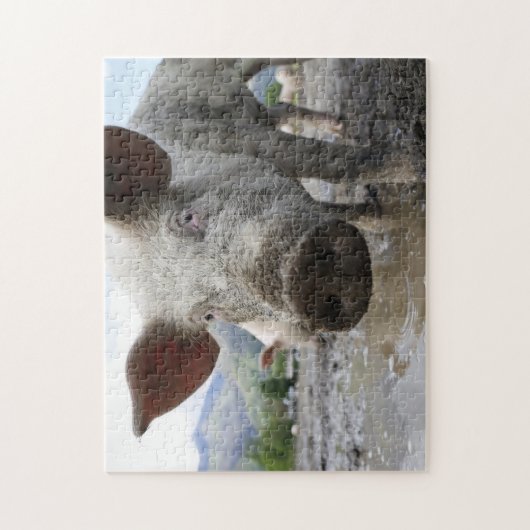 Puzzle des Schweins (Vertikal)