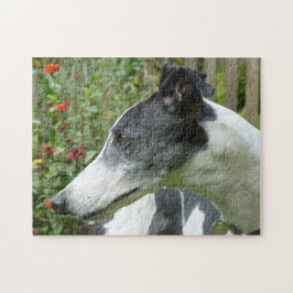 Puzzle des Windhunds (p101)