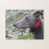 Puzzle des Windhunds (p105) Casey (Horizontal)