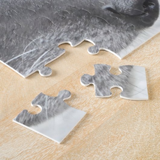 Puzzle des Windhunds (p439 (Seite)