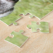 Puzzle des Windhunds (p498) (Seite)