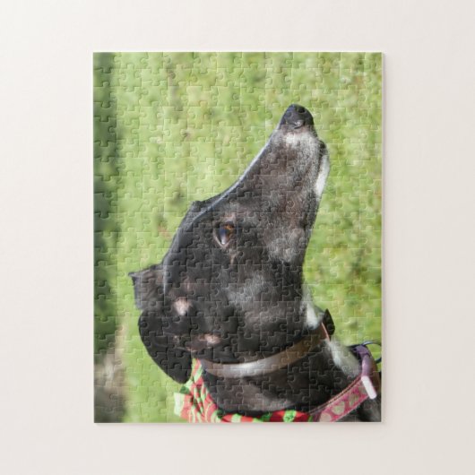 Puzzle des Windhunds (p498) (Vertikal)