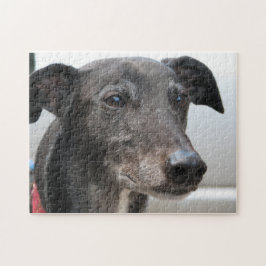 Puzzle des Windhunds (p99) Diesel