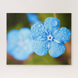 Puzzle Dewey Blue Blume