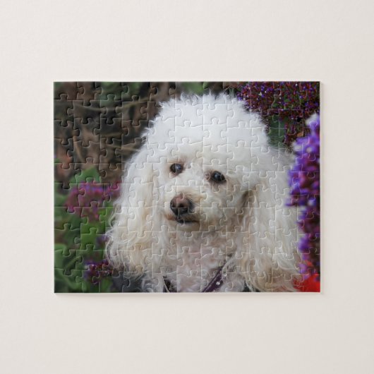 Puzzle Dog Jigsaw (Horizontal)
