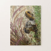 Puzzle - Eichhörnchen im Schatten (Vertikal)