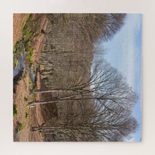 Puzzle eines ruhigen Waldes (Horizontal)