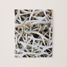 Puzzle - Elk Antler