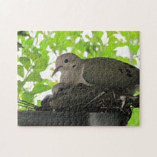 Puzzle - Familie der Tauben (Horizontal)