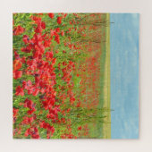 Puzzle-Feld Puzzle (Horizontal)