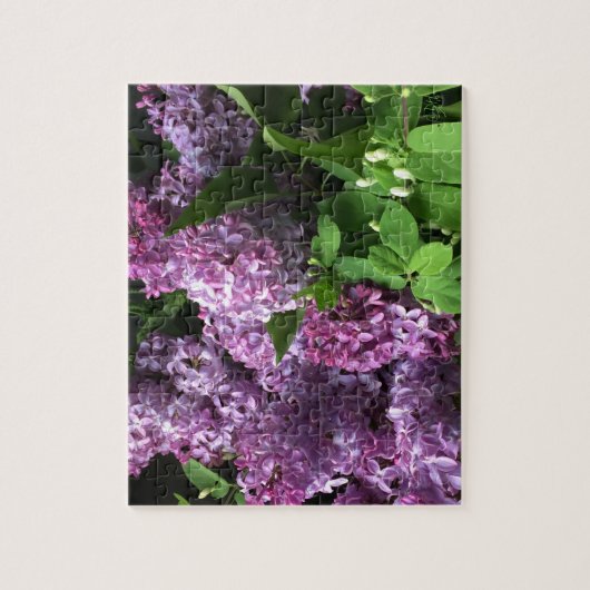 Puzzle:  FLIEDERN Puzzle (Vertikal)