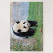 Puzzle Foto Riesenpanda , Tiere 0340. (Vertikal)