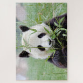 Puzzle Foto Riesenpanda , Tiere 0341. (Vertikal)