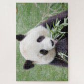 Puzzle Foto Riesenpanda , Tiere 0342. (Vertikal)