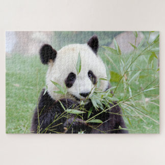 Puzzle Foto Riesenpanda , Tiere 0343.