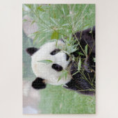 Puzzle Foto Riesenpanda , Tiere 0343. (Vertikal)